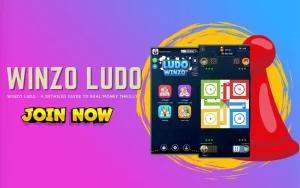 winzo ludo